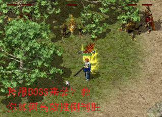 跨服BOSS来袭?教你如何高效推倒制胜 跨服BOSS来袭?教你如何高效推倒制胜