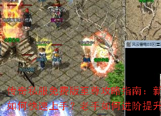 ����˽����Ѱ�������ָ�ϣ�������ο������֣�������ν���������