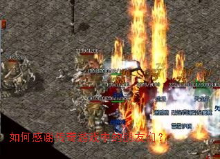 ��θ�л������Ϸ�е������ǣ�