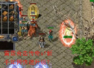 �����ϻ�����sf������ο���������