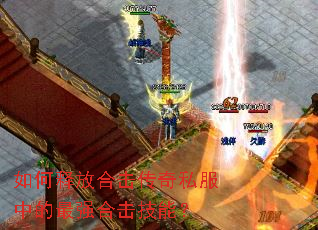 ����ͷźϻ�����˽���е���ǿ�ϻ����ܣ�