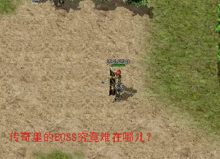 �������BOSS���������Ķ���