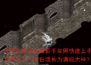 ����˽���ϻ���������ο������֣�����������С�׳ɳ�Ϊ��������