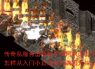 ����˽���ϻ���������ο������֣�����������С�׳ɳ�Ϊ��������