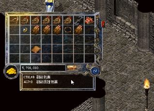 在传奇SF出版网中，需要抓紧时间快速升级