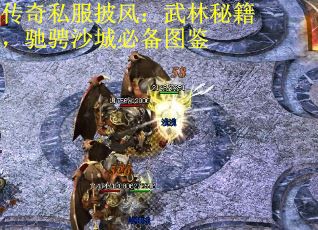 传奇私服披风：武林秘籍，驰骋沙城必备图鉴