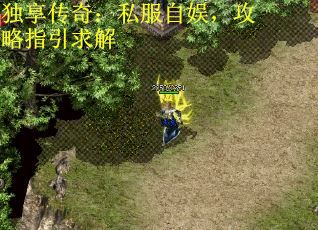 独享传奇：私服自娱，攻略指引求解