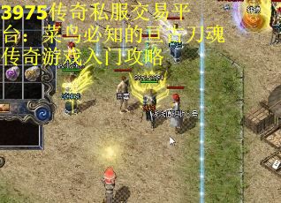 3975传奇私服交易平台：菜鸟必知的亘古刀魂传奇游戏入门攻略