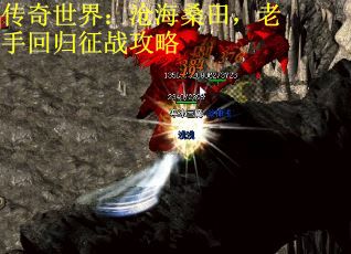 传奇世界：沧海桑田，老手回归征战攻略