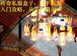 传奇私服盒子：新手玩家入门攻略，从零到霸主