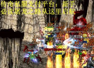传奇私服支付平台：新手必读屠龙之路从这里启航