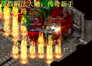 征战玛法大陆：传奇新手进阶之路
