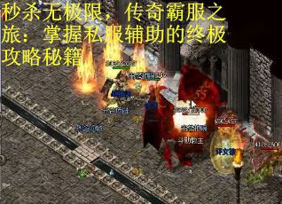 秒杀无极限，传奇霸服之旅：掌握私服辅助的终极攻略秘籍