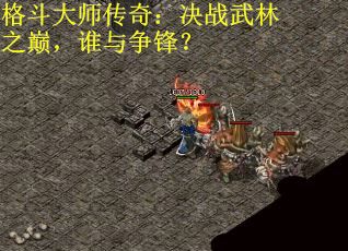 格斗大师传奇：决战武林之巅，谁与争锋？