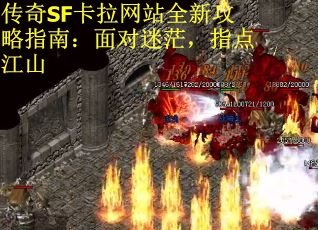 传奇SF卡拉网站全新攻略指南：面对迷茫，指点江山