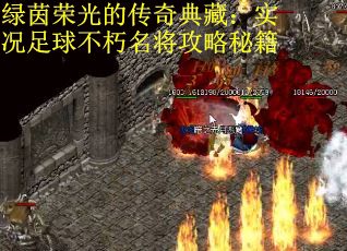 绿茵荣光的传奇典藏：实况足球不朽名将攻略秘籍
