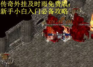 传奇外挂及时雨免费版：新手小白入门必备攻略
