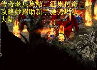 传奇老兵集结，征集传奇攻略妙招助新手驰骋玛法大陆