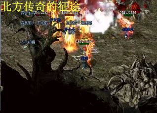 北方传奇的征途
