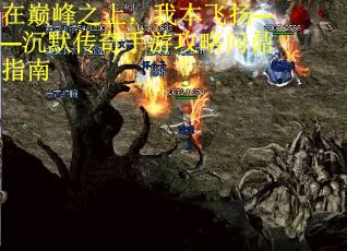 在巅峰之上，我本飞扬——沉默传奇手游攻略问鼎指南