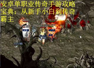 安卓单职业传奇手游攻略宝典：从新手小白到传奇霸主