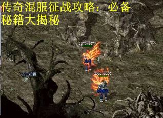 传奇混服征战攻略：必备秘籍大揭秘