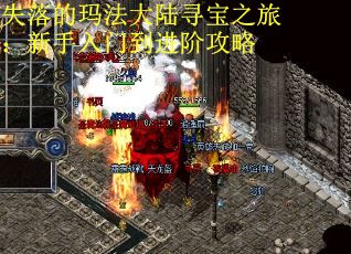 失落的玛法大陆寻宝之旅：新手入门到进阶攻略