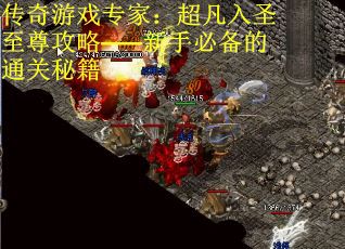 传奇游戏专家：超凡入圣至尊攻略——新手必备的通关秘籍