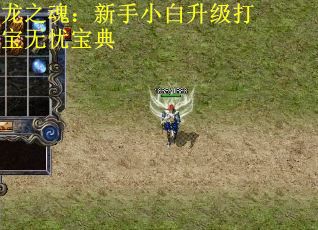龙之魂：新手小白升级打宝无忧宝典