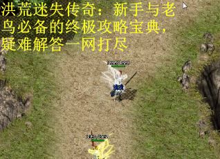 洪荒迷失传奇：新手与老鸟必备的终极攻略宝典，疑难解答一网打尽