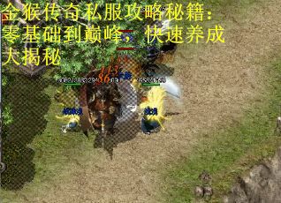 金猴传奇私服攻略秘籍：零基础到巅峰，快速养成大揭秘
