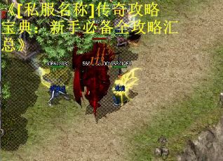 《[私服名称]传奇攻略宝典：新手必备全攻略汇总》