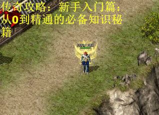 传奇攻略：新手入门篇：从0到精通的必备知识秘籍