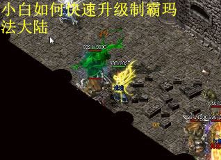 小白如何快速升级制霸玛法大陆