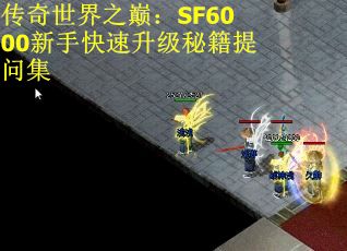 传奇世界之巅：SF6000新手快速升级秘籍提问集