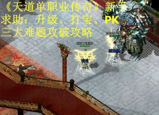 《天道单职业传奇》新手求助：升级、打宝、PK三大难题攻破攻略