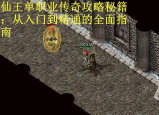 仙王单职业传奇攻略秘籍：从入门到精通的全面指南