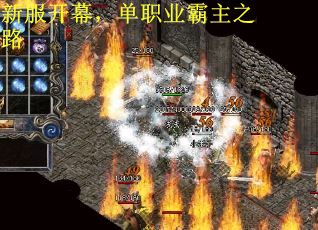 新服开幕，单职业霸主之路