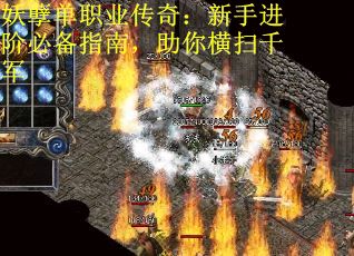 妖孽单职业传奇：新手进阶必备指南，助你横扫千军