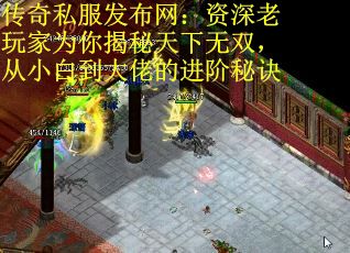 传奇私服发布网：资深老玩家为你揭秘天下无双，从小白到大佬的进阶秘诀