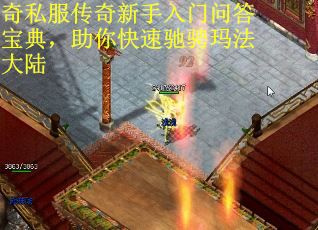 奇私服传奇新手入门问答宝典，助你快速驰骋玛法大陆