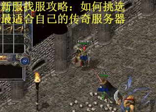 新服找服攻略：如何挑选最适合自己的传奇服务器