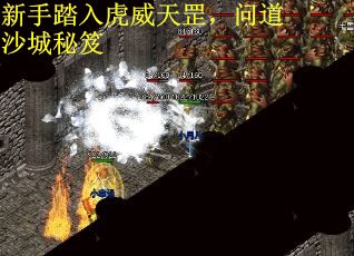 新手踏入虎威天罡，问道沙城秘笈