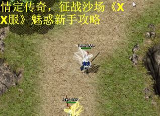 情定传奇，征战沙场《XX服》魅惑新手攻略