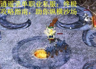 逍遥录单职业私服：终极攻略指南，助你纵横沙场