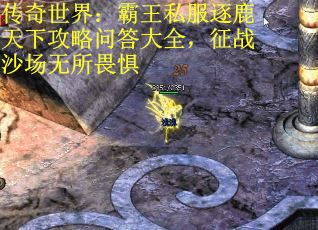 传奇世界：霸王私服逐鹿天下攻略问答大全，征战沙场无所畏惧