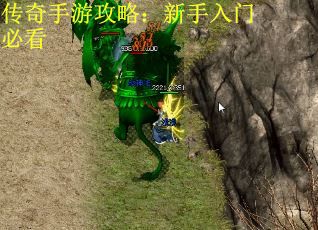 传奇手游攻略：新手入门必看