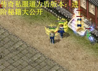 传奇私服道力盾版本：进阶秘籍大公开
