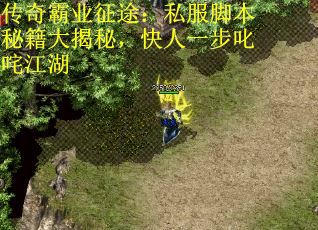 传奇霸业征途：私服脚本秘籍大揭秘，快人一步叱咤江湖