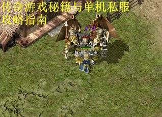 传奇游戏秘籍与单机私服攻略指南